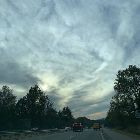 Meet your Posher, Ava - Picture 1 of 1